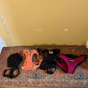 Voyager Dog Harness Set - Black, Pink, Orange